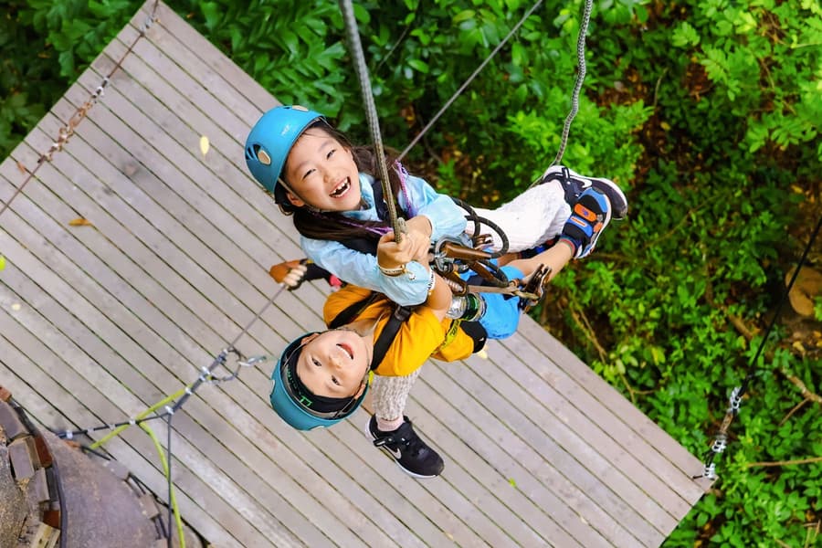 Flying Hanuman: 28 Platforms Zipline Adventure with Optional Round-Trip Transfers
, at Flying Hanuman