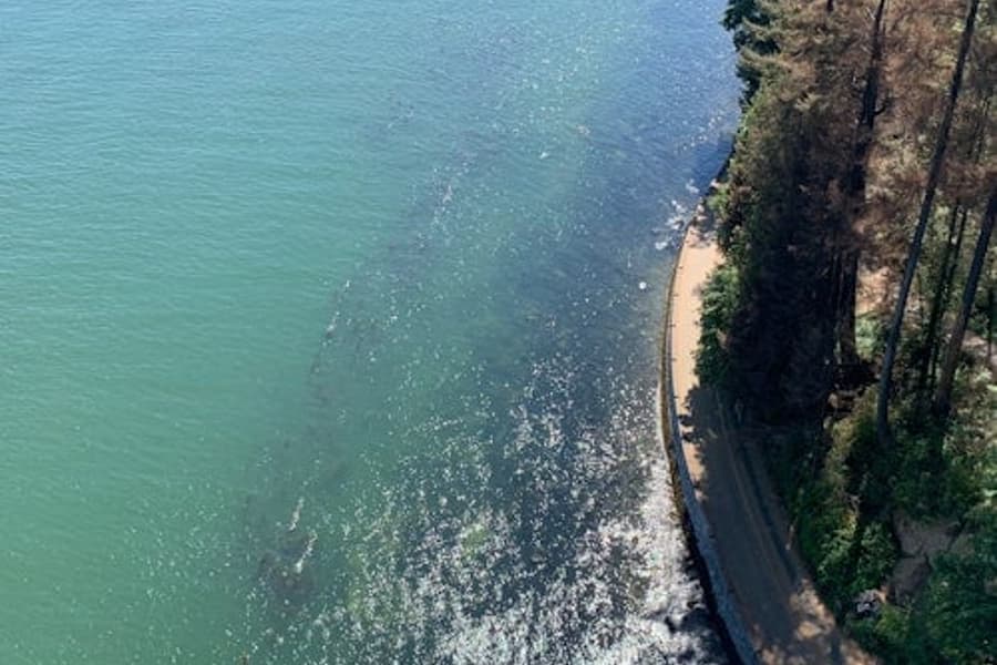 Vancouver: Guided Bike and Hike with Picnic Lunch