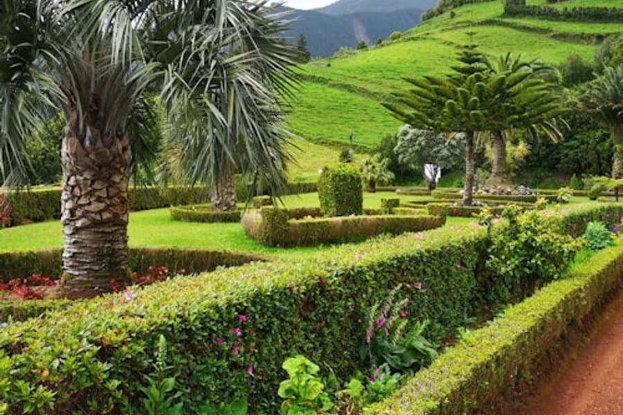 Nordeste: Vandfald, Varm Kilde & Udsigtspunkter Guidet Tur, at Ponta Delgada Day Trips, Ponta Delgada