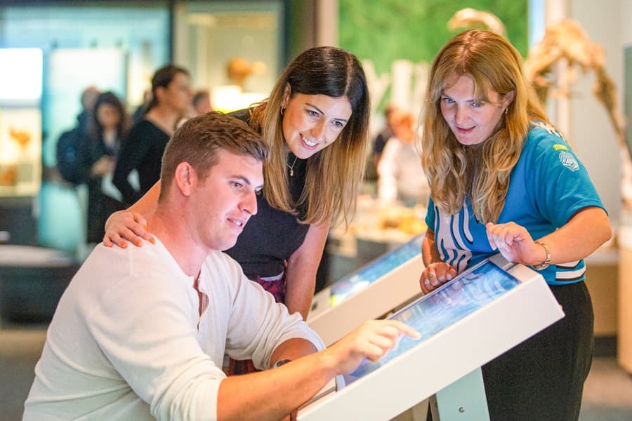Museum of New Zealand Te Papa Tongarewa Tickets, Wellington