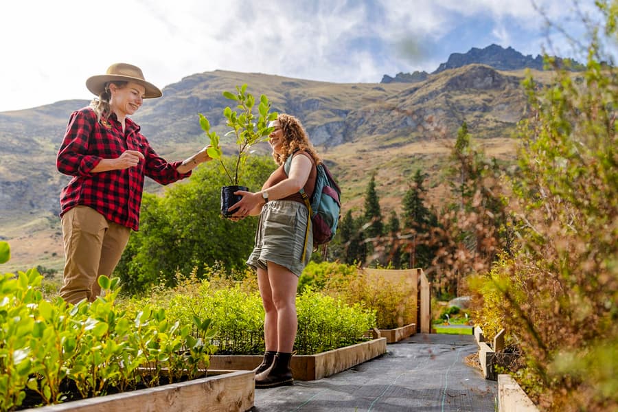 From Queenstown: TSS Earnslaw/Spirit of Queenstown with Walter Peak Farm Tour, Queenstown