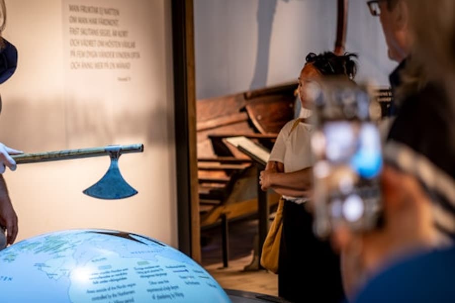 Vikingamuseet: Inträdesbiljett, at The Viking Museum, Stockholm