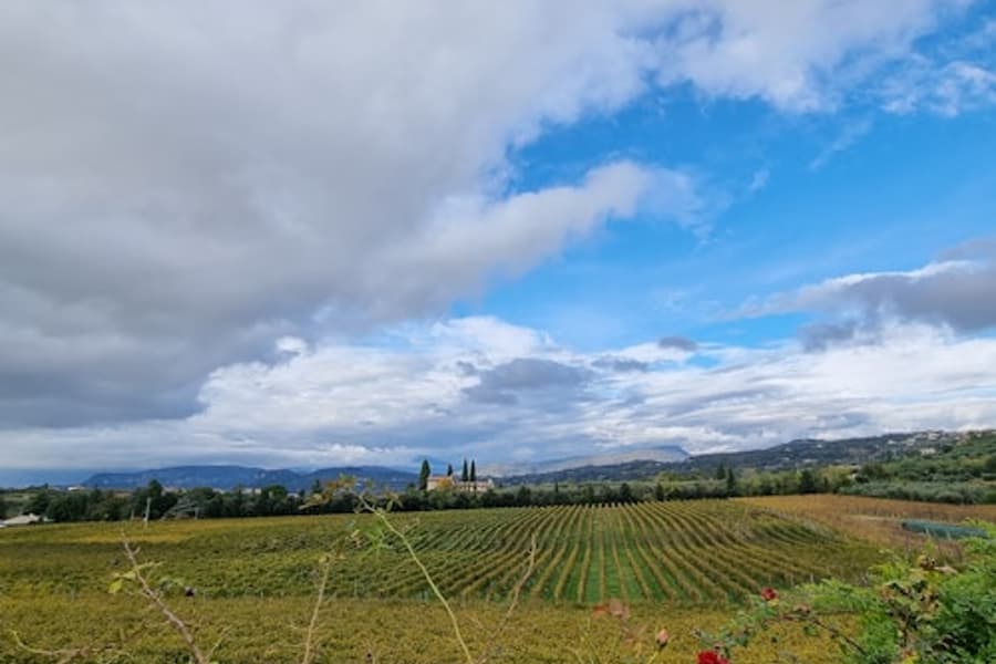 Lake Garda: Wine Tasting + Bardolino Vineyard Tour, Sirmione