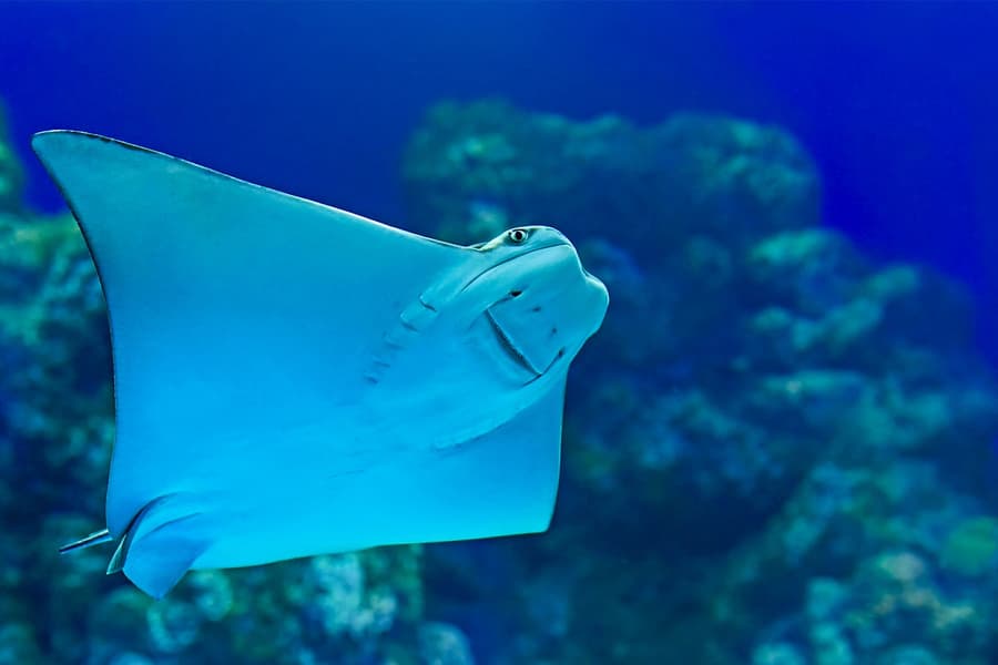 Aquaria Phuket Group Saver Tickets for Foreign Travelers: Group of 3 & More, at Aquaria Phuket