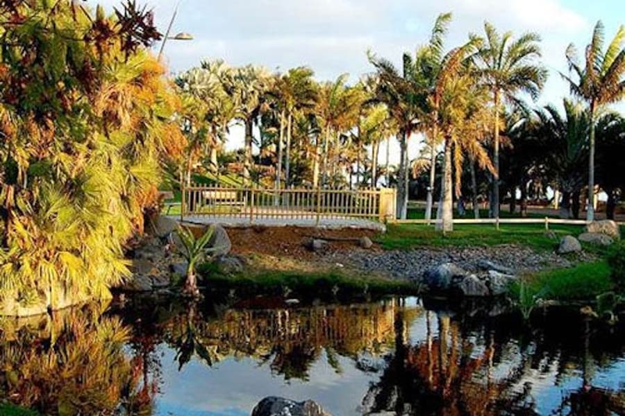 Palmetum of Santa Cruz de Tenerife: Entry Ticket, Tenerife