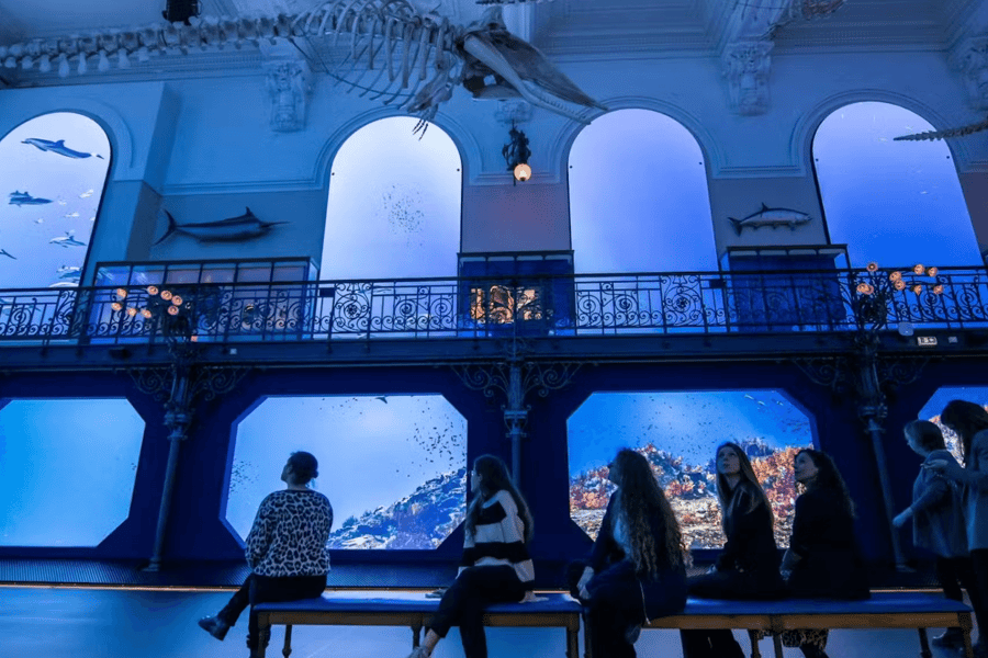 Oceanografické muzeum Monaka, at Oceanographic Museum of Monaco, Monaco and French Riviera