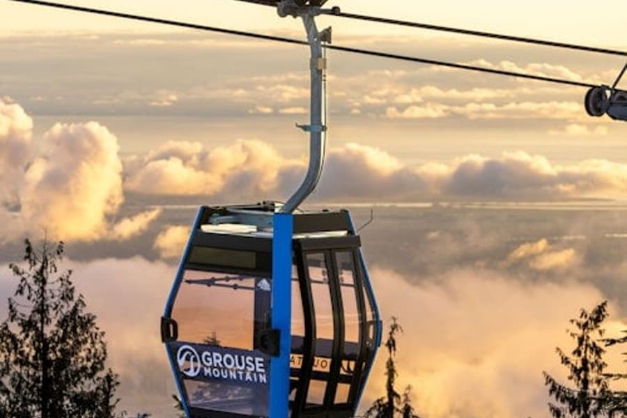 Grouse Mountain & Capilano Suspension Bridge Park: Guided Tour