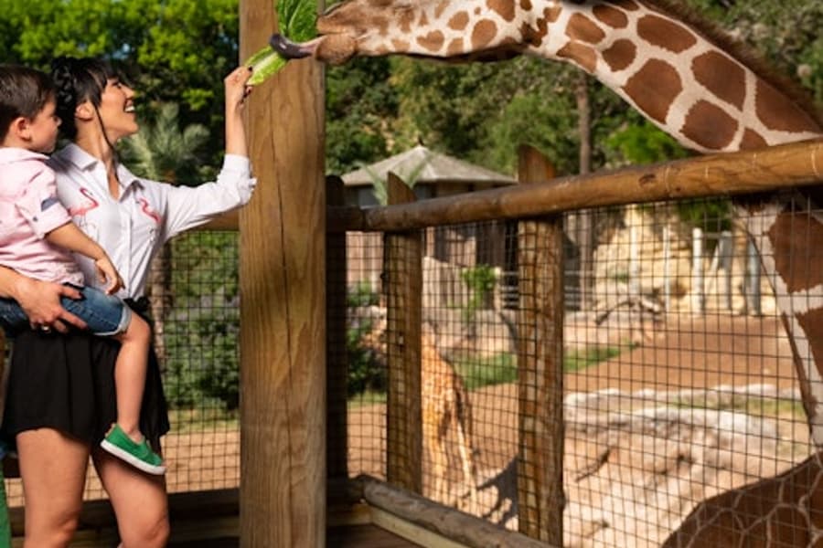 San Antonio Zoo Flexible Any-Day Entry Ticket, San Antonio