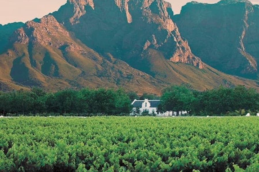 Chuyến Thăm Quan Nếm Rượu Vang Riêng Tại Winelands & Stellenbosch-Franschhoek, Cape Town