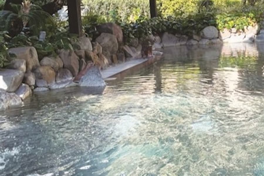 Naniwanoyu Natural Spa, Osaka