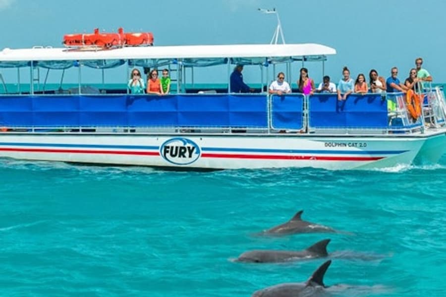 Key West: Dolphin Watching Eco Tour, Key West