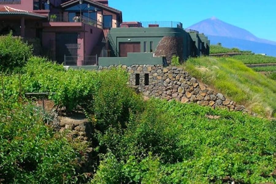 Bodegas Monje: Winery Visit & Wine Tasting, Tenerife