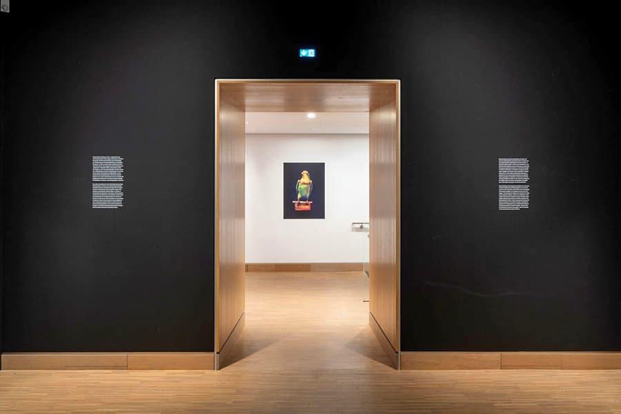 Albertina Modern Entry Tickets, at Albertina Modern, Vienna