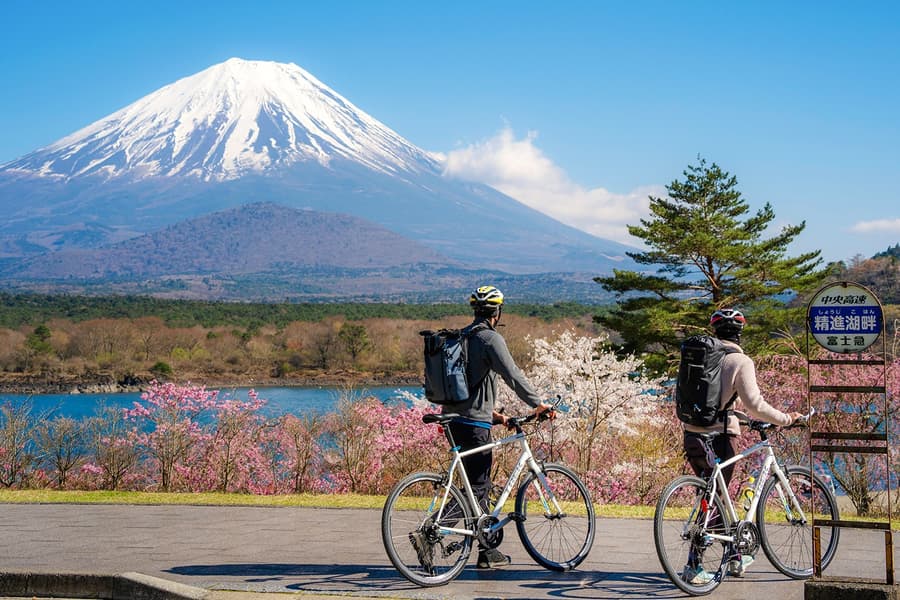 Lawatan Sehari Berpandu ke Gunung Fuji dengan Tasik Kawaguchi & Tasik Yamanaka, Tokyo