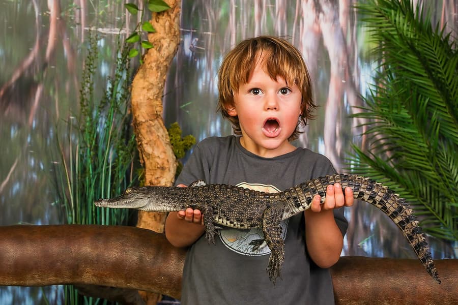 Crocosaurus Cove Tickets, Darwin