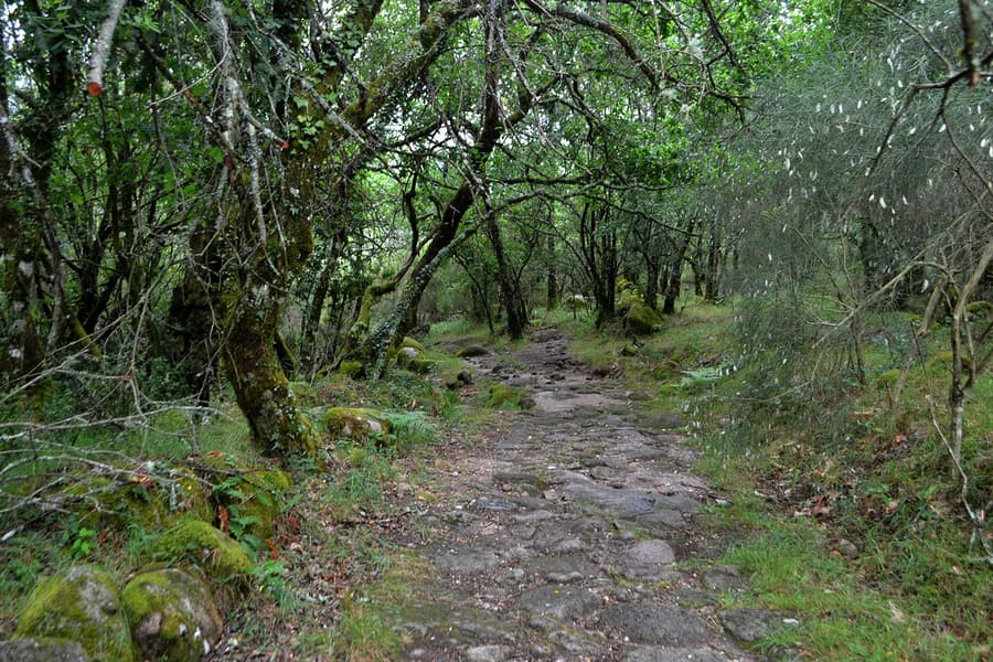 Volledige dag begeleide tour door het Peneda Gerês Nationaal Park inclusief heen- en terugreis transfers, Porto