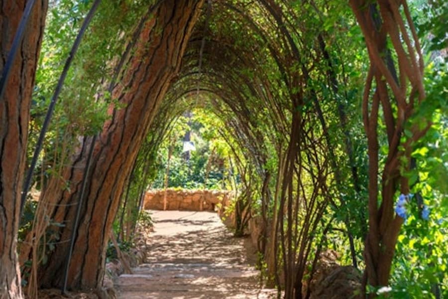 Park Güell & Gaudi House Museum: Entry Ticket + Audio Guide, at Park Güell