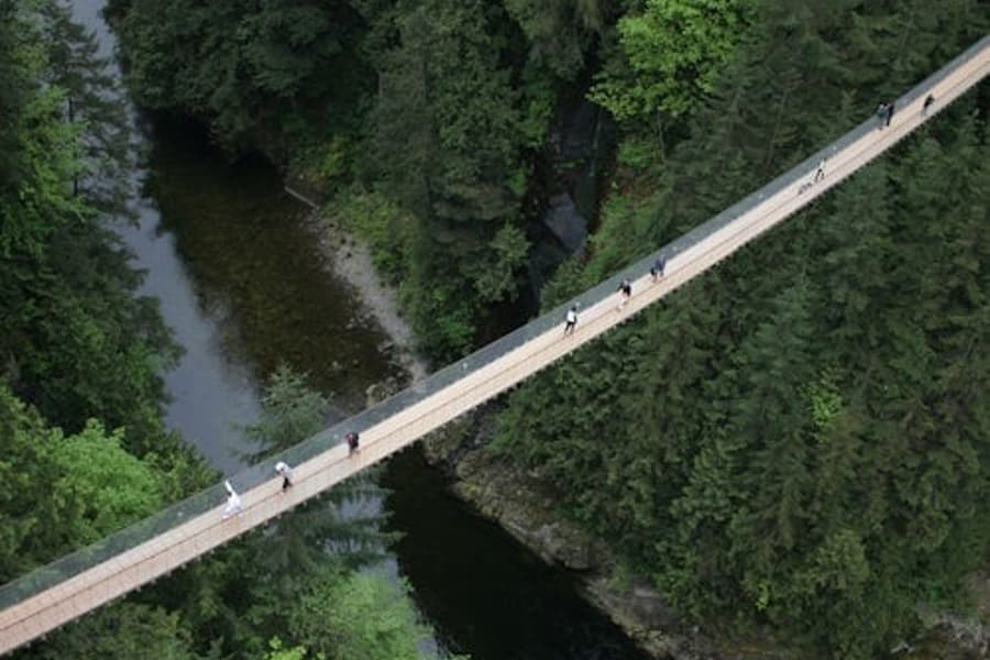 Vancouver: Capilano hengibrúgarður & Borgarferð, Vancouver