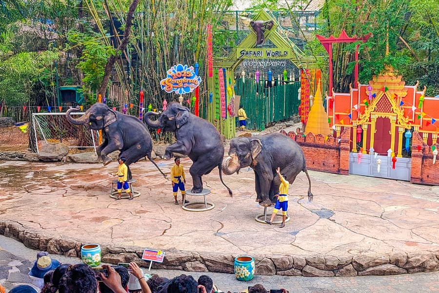 Safari World Tickets with Optional Lunch, Bangkok