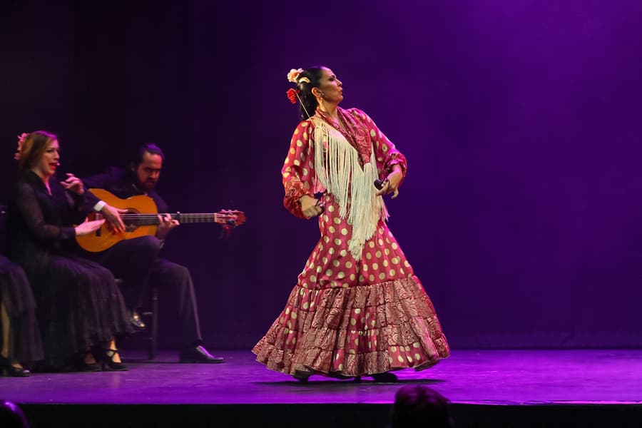 Teatro Flamenco Madrid - Emotions Show, Madrid
