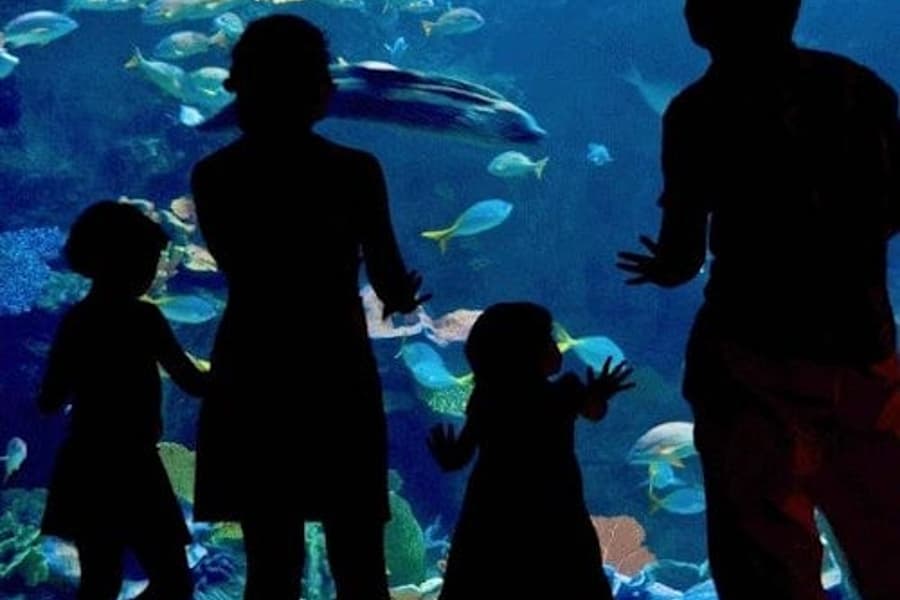 Zážitková prohlídka: Vrcholy Veracruz a jezero Mandinga, at Acuario de Veracruz, Veracruz