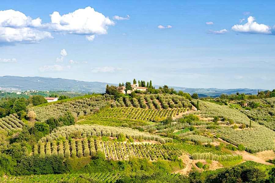 Des de Florència: Tour de Degustació de Vins del Chianti, at Piazzale Montelungo, Firenze FI, Italy, Florence