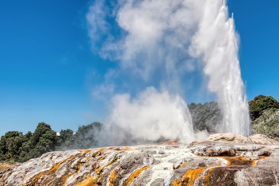 From Auckland: Waitomo Caves, Rotorua & Te Puia Guided Tour, Auckland
