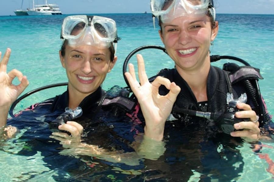 Creuer en veler al Gran Escull de Coral Michaelmas Cay des de Cairns, at Cairns Cruises Boat Tours, Cairns