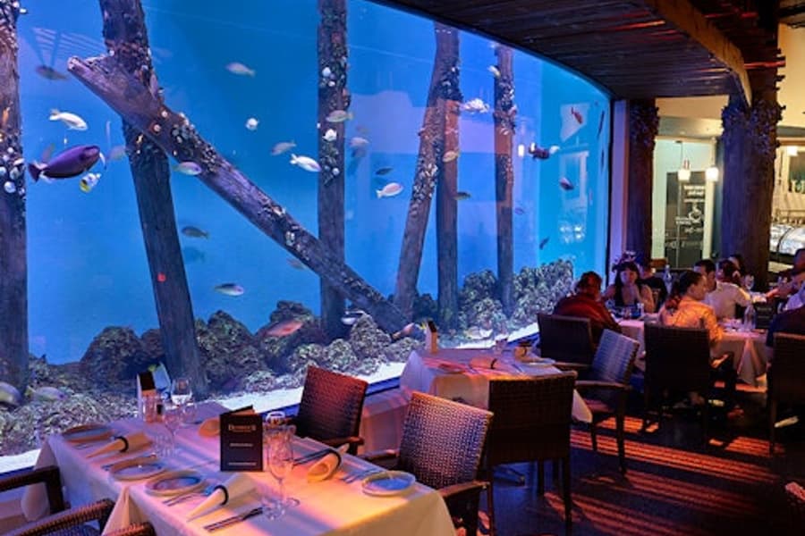 Aquarium de Cairns au crépuscule avec dîner, at Cairns Aquarium, Cairns