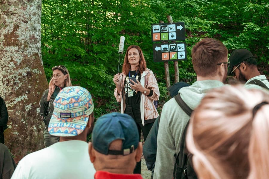 From Zadar: Full-Day Guided Tour of Plitvice Lakes National Park, Split