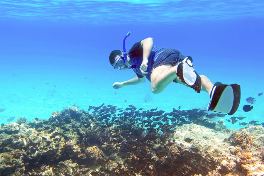 จากชาร์ม เอล ชีค: ล่องเรือเกาะทีรานพร้อมดำน้ำ สน็อกเกิล & อาหารกลางวัน, at Sharm el-Sheikh, Sharm El Sheikh