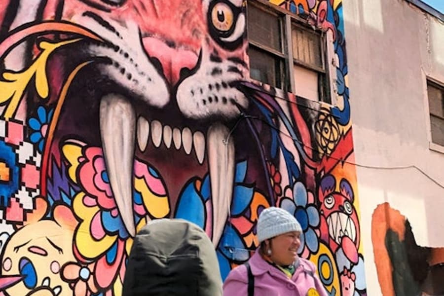 Montreal: Visita Guiada pelos Murais, Montreal