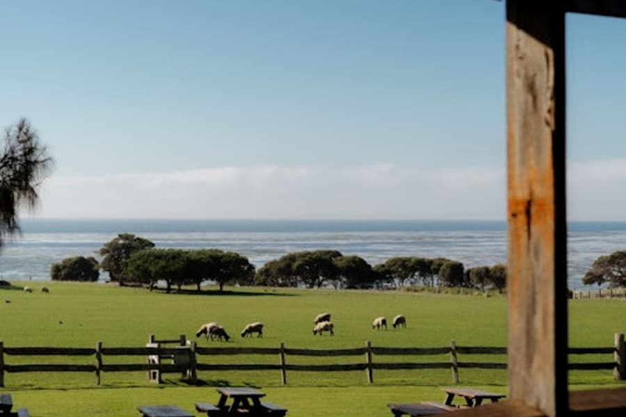 Phillip Island: Vstupenka na ostrov Churchill, at Phillip Island Nature Parks, Cowes