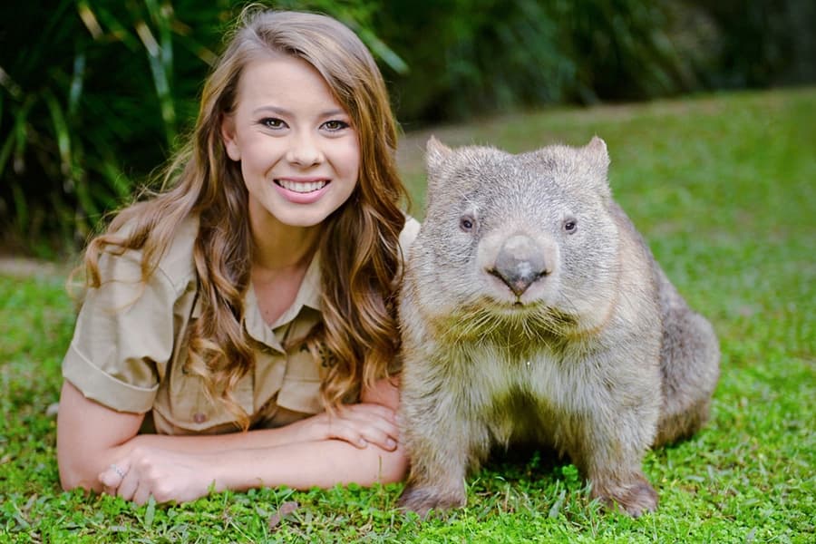 From Sunshine Coast: Australia Zoo Tickets with Transfers, at Australia Zoo