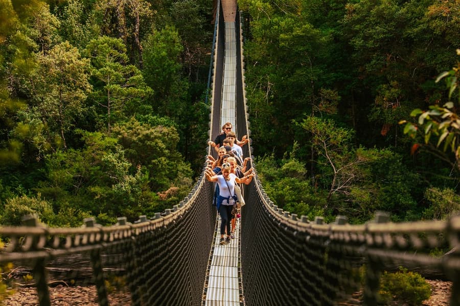 Full-Day Guided Tour of Tahune Airwalk & Hastings Caves, Hobart
