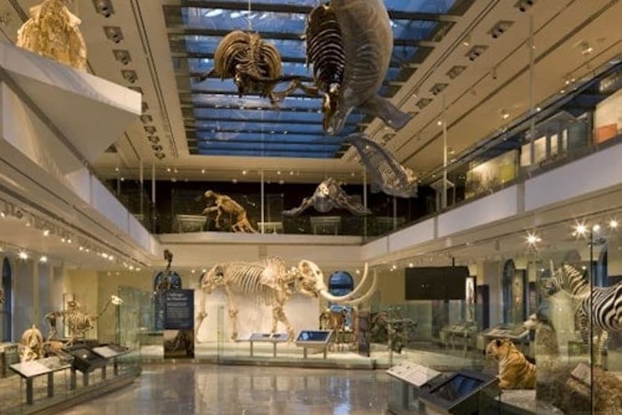 Natural History Museum of Los Angeles County: Entry Ticket, Los Angeles