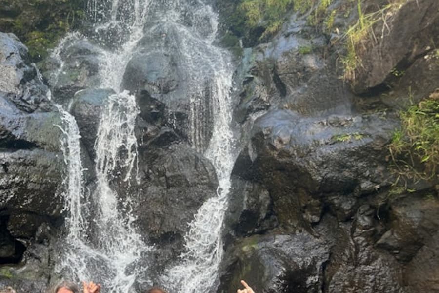 Waimea Valley: Guided Waterfall Hike & Swim Tour from Waikiki tickets