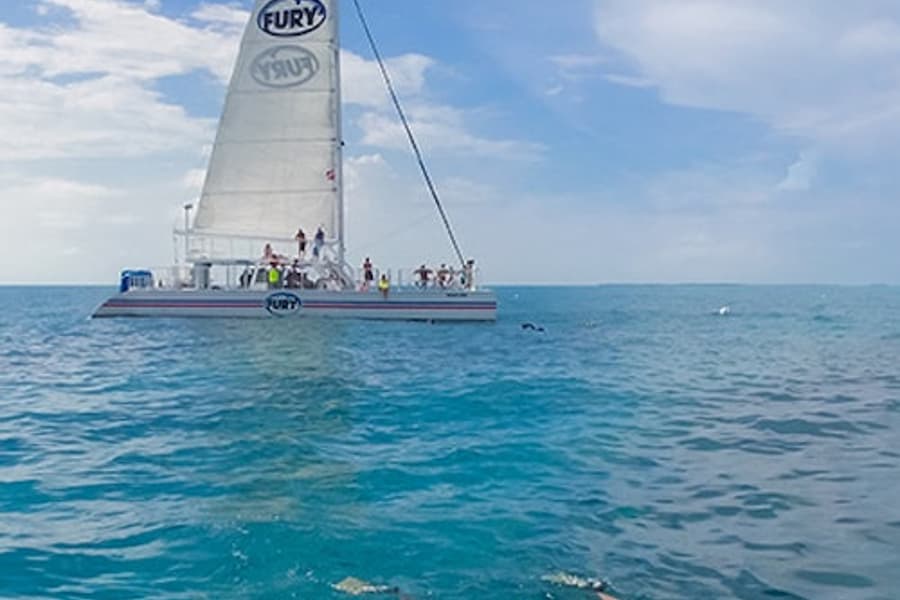 Key West: Morning Snorkel Tour, Key West