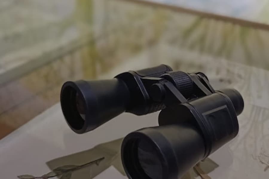 RADICI. Piccolo Museo della Natura: Entry Ticket + Self-Guided Tour, Palermo
