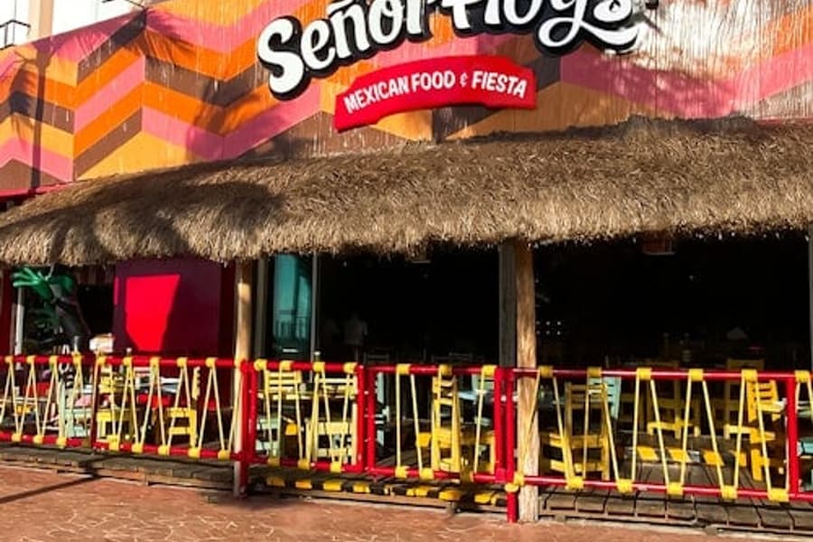 Señor Frog's Cozumel: Frogův průkaz, at Señor Frog's Cozumel, Cozumel