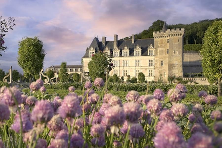 Château de Villandry: Entry Ticket, Villandry