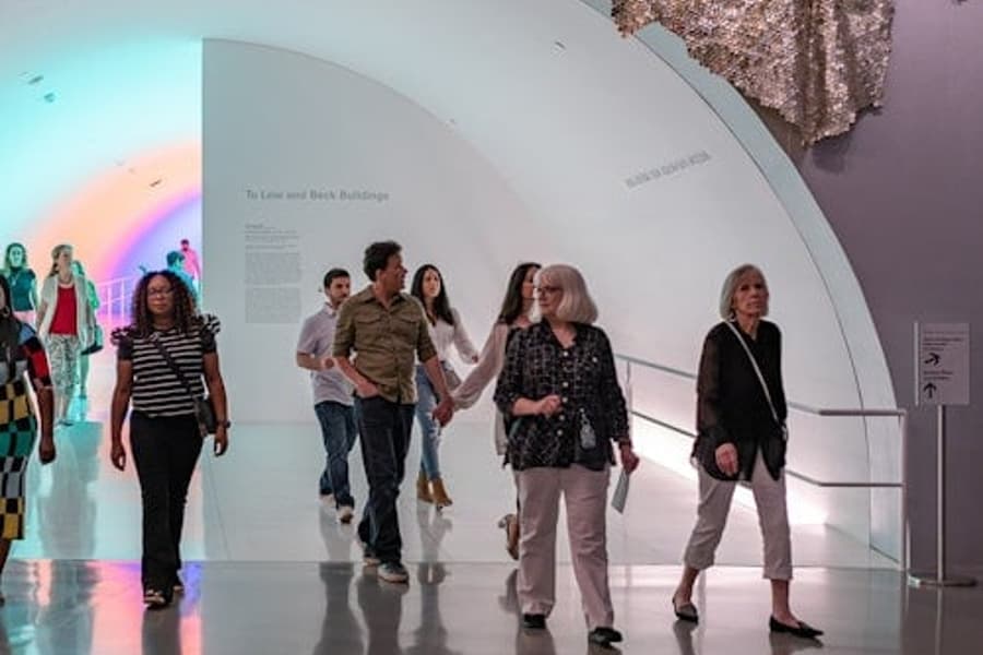 The Museum of Fine Arts, Houston: ALL ACCESS Ticket, Houston
