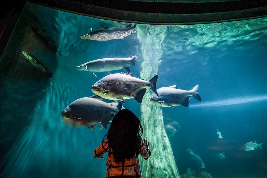 [Exclusive Promo] Aquaria KLCC Tickets, Kuala Lumpur