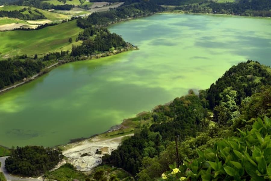 Furnas: Teplantager, Sø og Vulkan Guidet Tur, at Sao Miguel Island Tours, Ponta Delgada