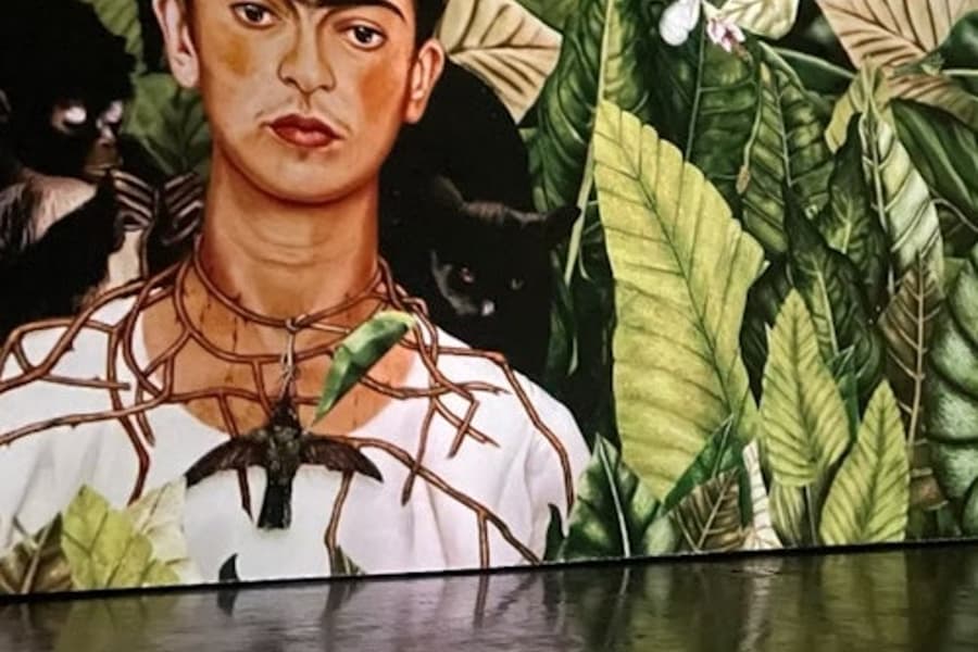 Frida Kahlo Exhibition Amsterdam: VR Experience