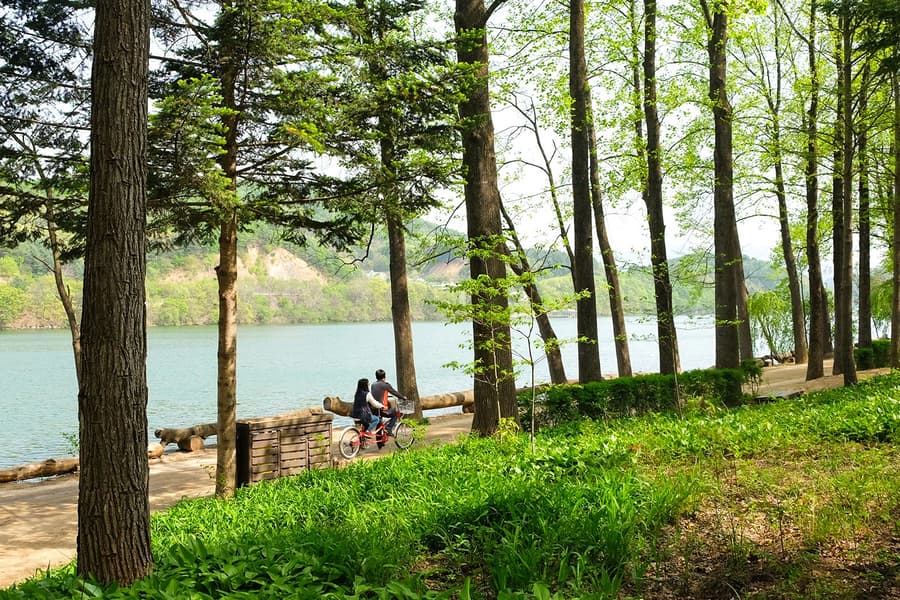 Lawatan Sehari Pulau Nami & Gunung Seorak, Seoul