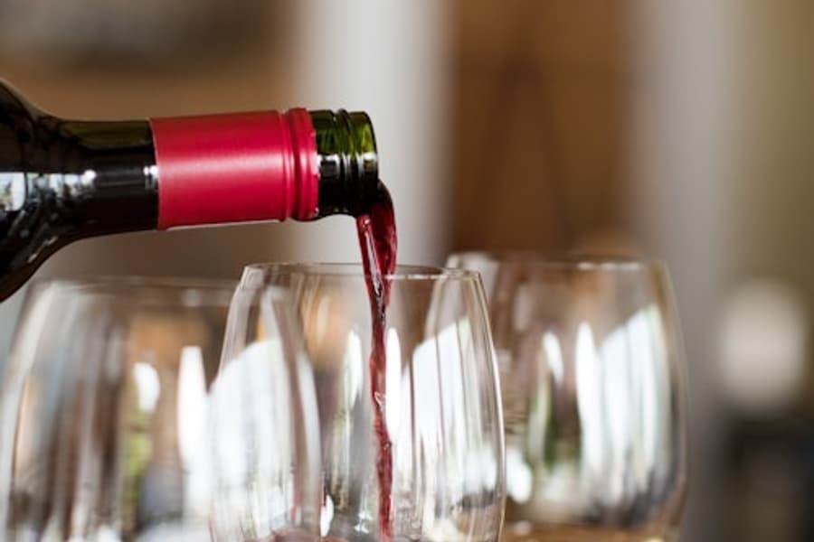 Médoc: Full-Day Wine Tour from Bordeaux, Bordeaux