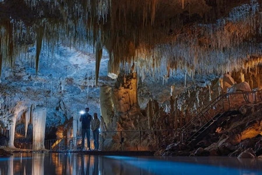 Margaret River: Lake Cave Guided Tour, Forest Grove