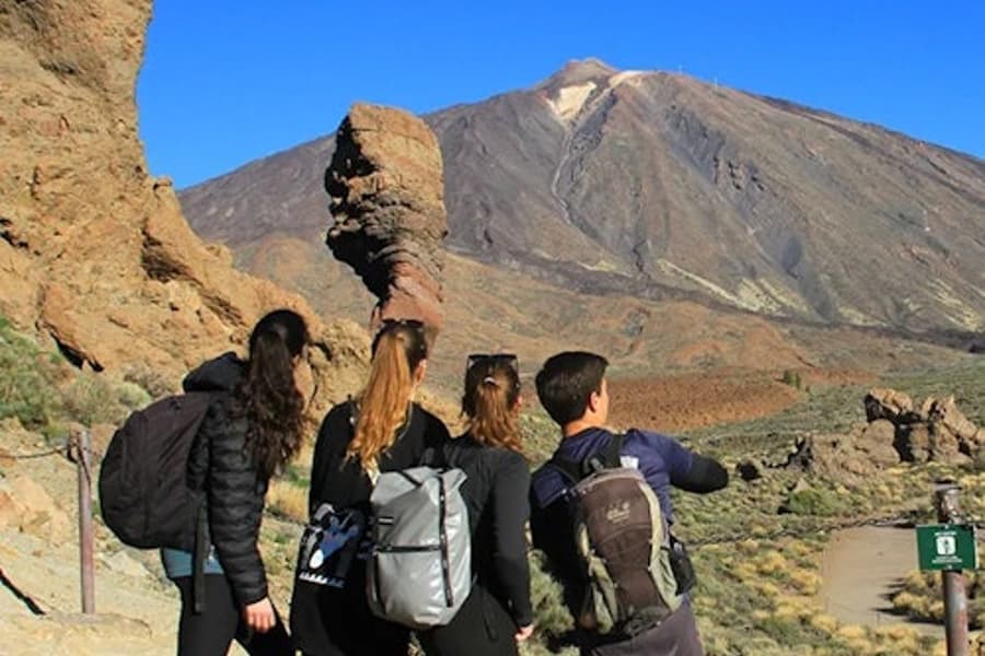 Tenerife: Half-Day Guided Tour to Teide National Park tickets