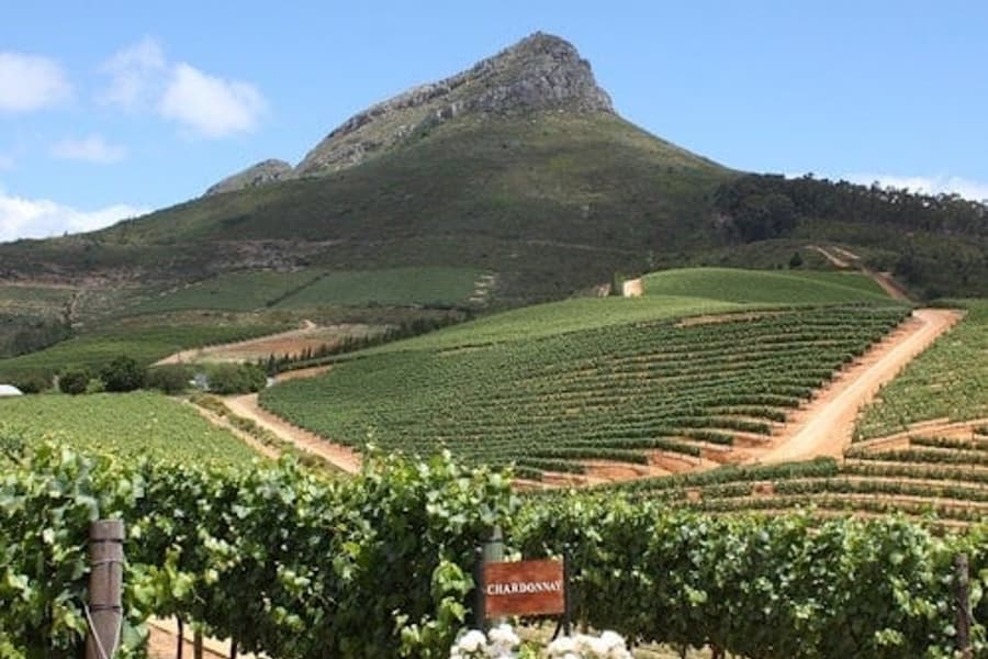 Stellenbosch & Franschhoek: Wine Tasting + Roundtrip Transfer From Cape Town
